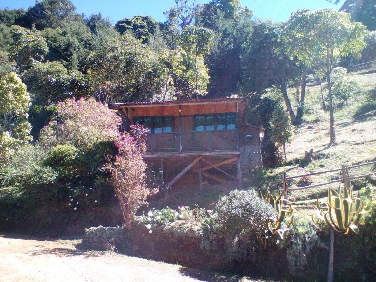 Las Cataratas Lodge San Gerardo de Dota Extérieur photo